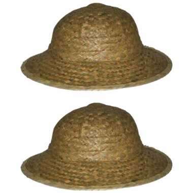 X stuks safarihoed stro carnaval verkleed hoeden