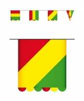 Carnaval thema vlaggenlijn karton meter