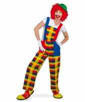 Clown verkleedcarnavalspak tuinbroek